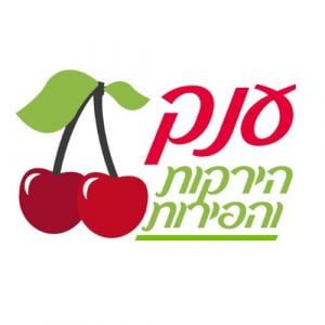 לוגו לקוח